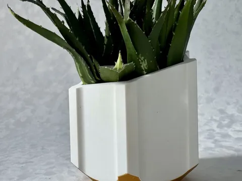 Modern Planter