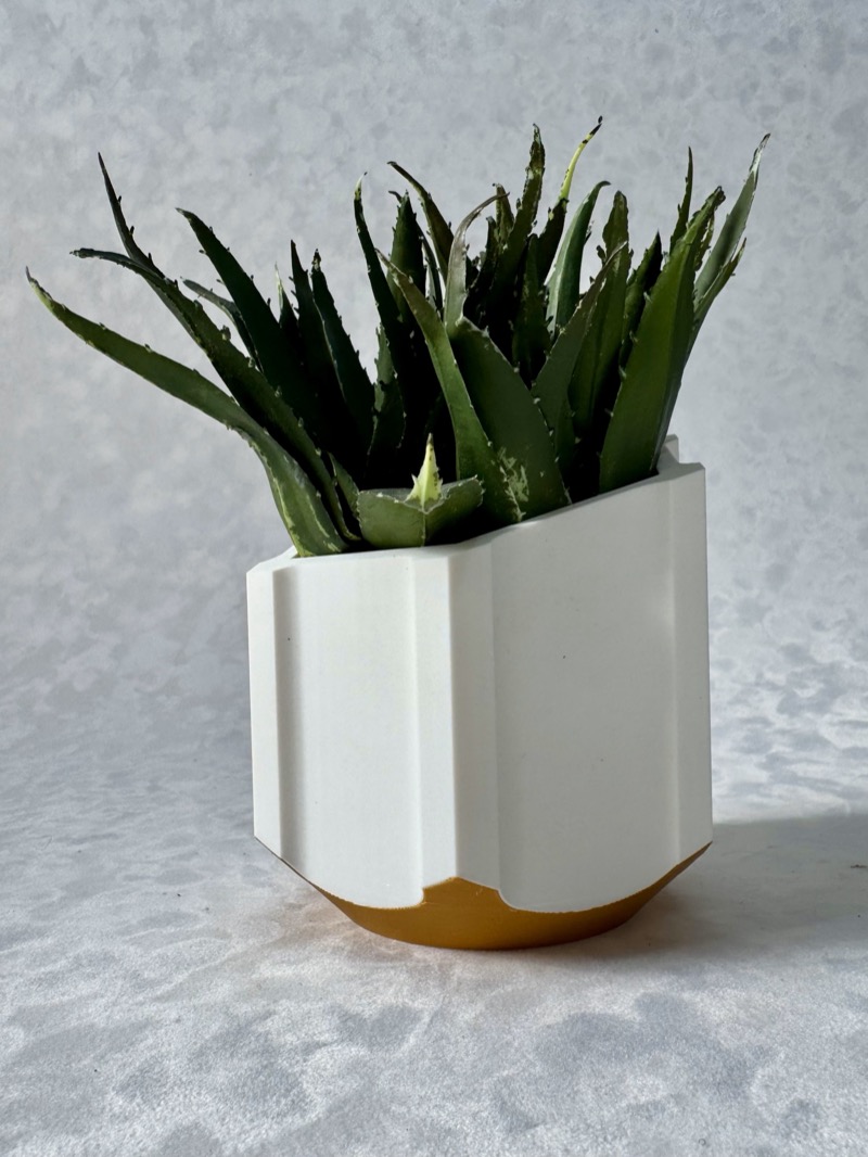 Modern Planter